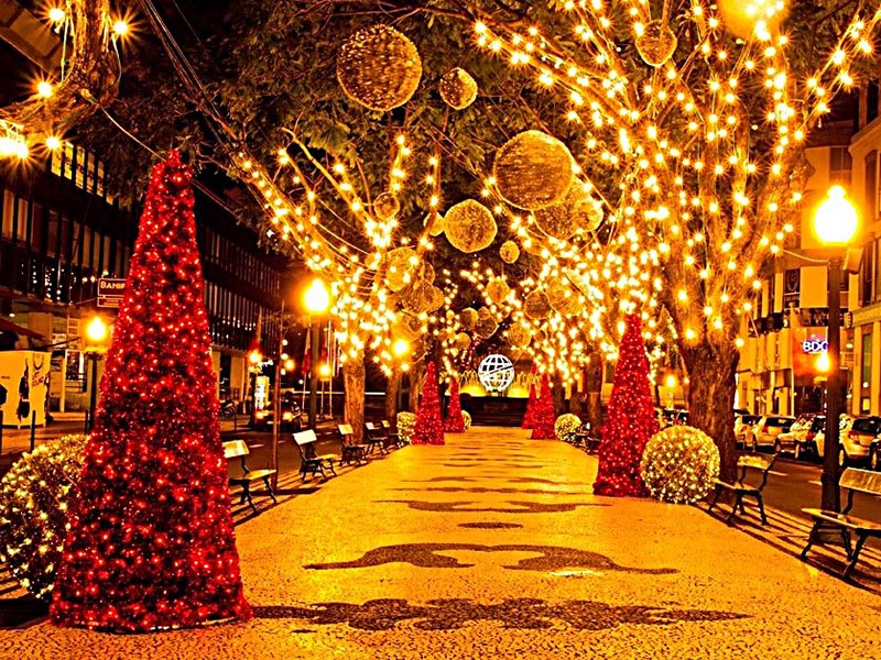 Christmas Lights Tour in Funchal